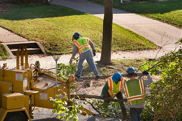 Best Firewood Processing and Delivery  in Victoria, MN